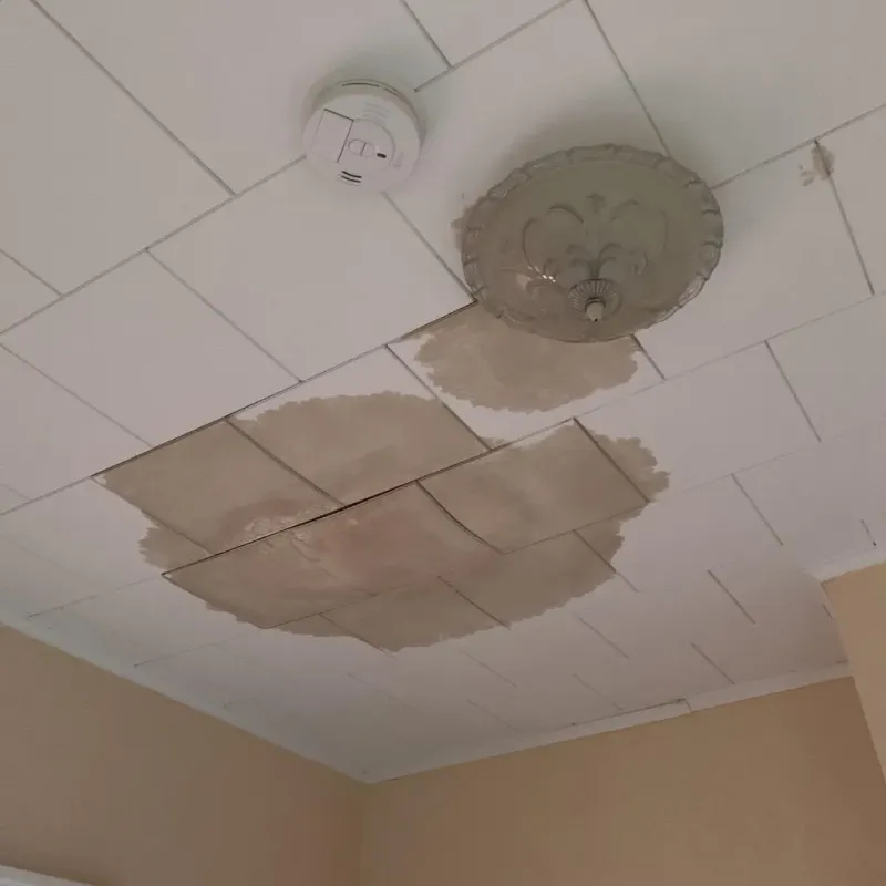 Ceiling Water Damage Repair in Onarga, IL