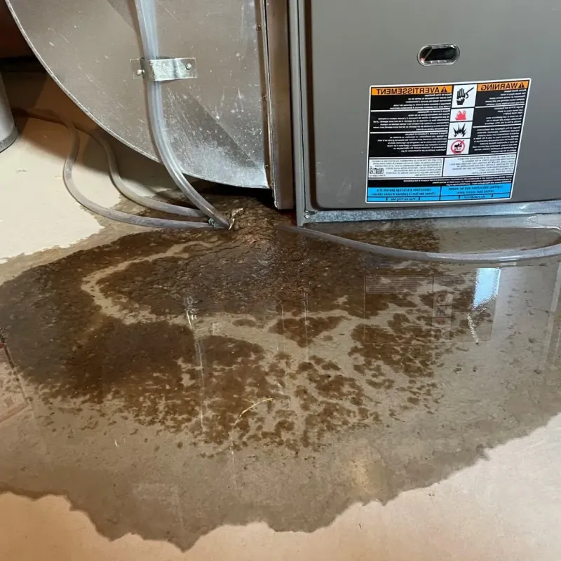 Pipe Burst and Leak Restoration in Onarga, IL